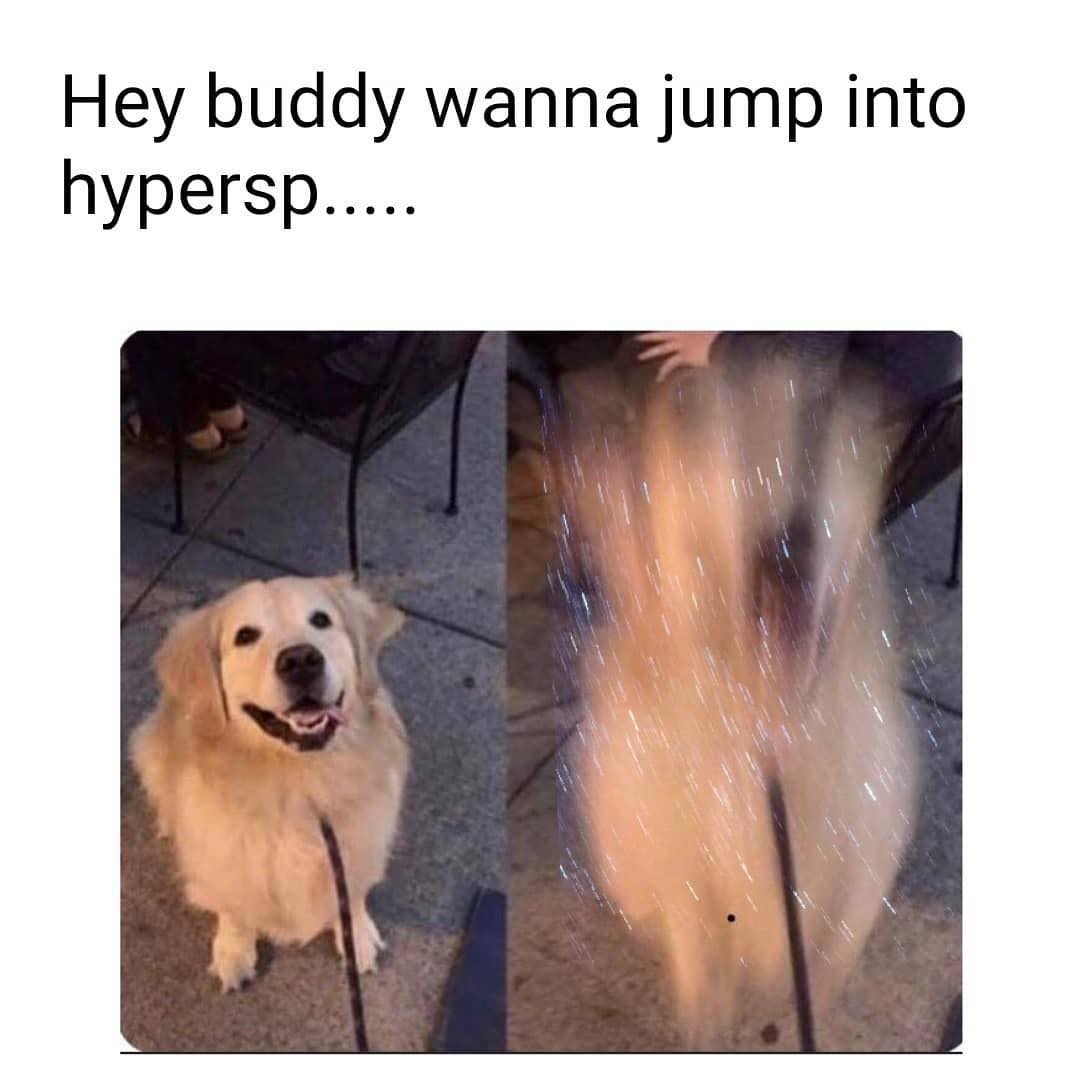 This meme is a humorous image of a dog's face with a caption that reads: "In space, no one can hear you bark... but they can feel your space booty". The image is a playful take on the classic Star Wars phrase "In space, no one can hear you scream", and is meant to be a lighthearted and humorous commentary on the idea of a dog in space. The meme is likely to be accompanied by a humorous image of a dog in a space suit or a similar sci-fi themed image.